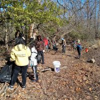 cleaning up the community